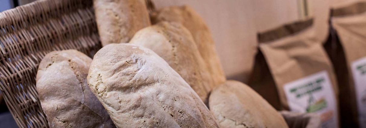 pane di chiaserna - in consegna